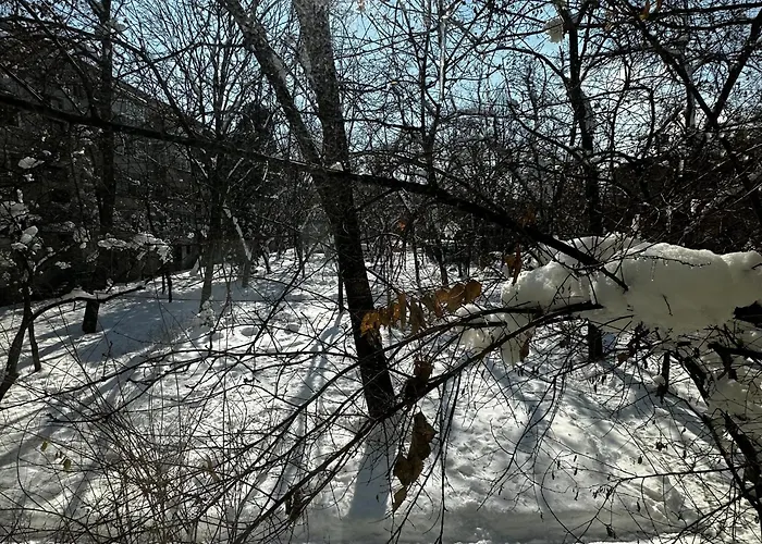 Start 3 * 부쿠레슈티